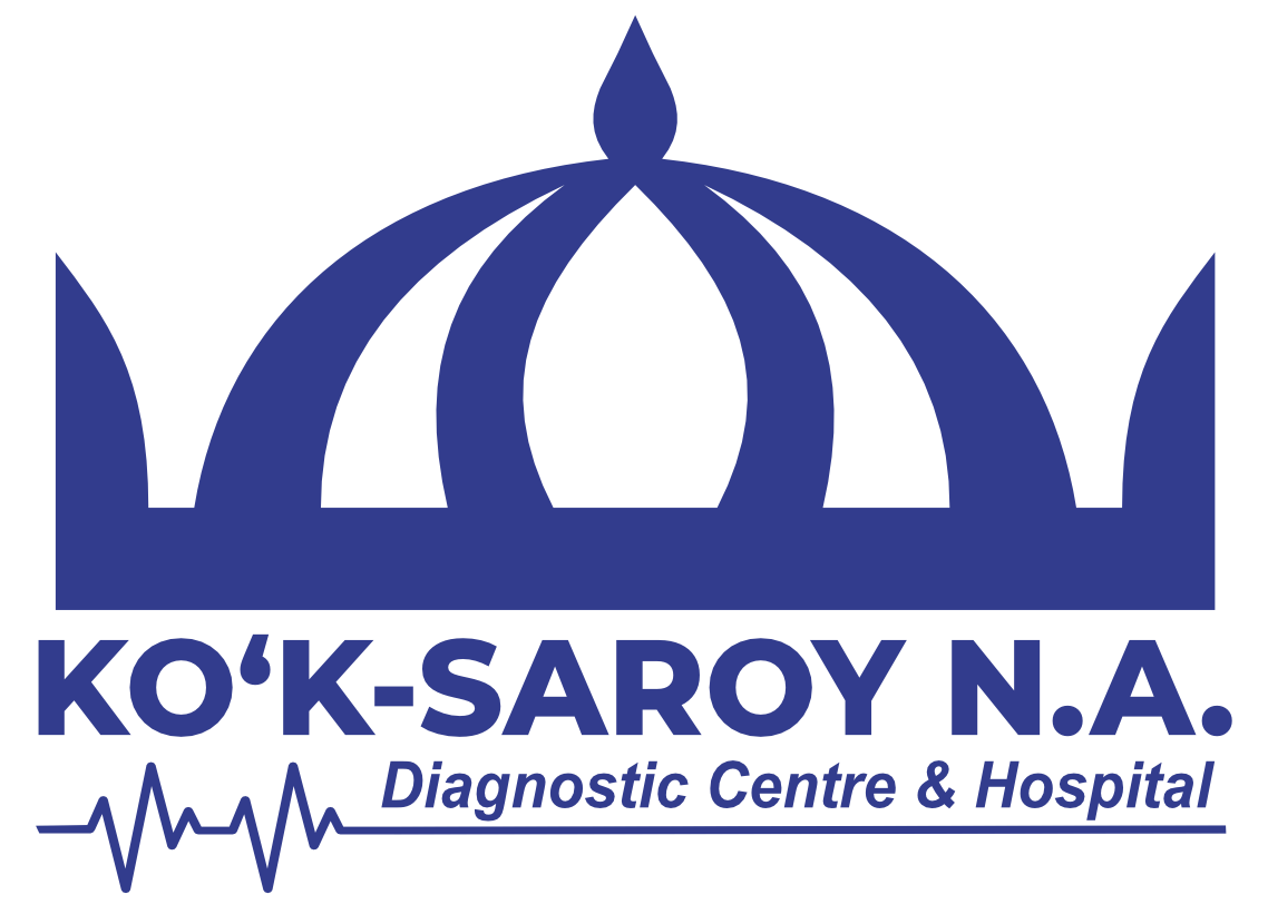 KO'K-SAROY N.A. Logo